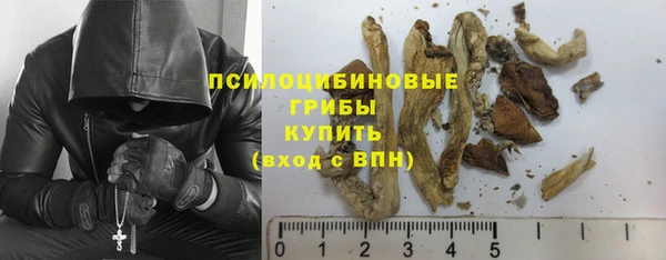 герыч Ельня