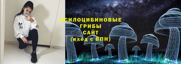 герыч Ельня