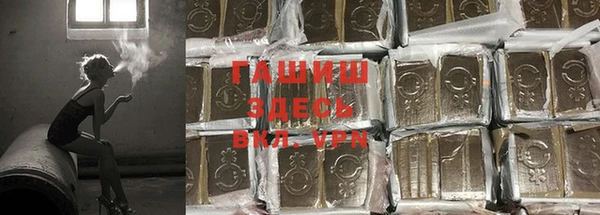 СК Елабуга