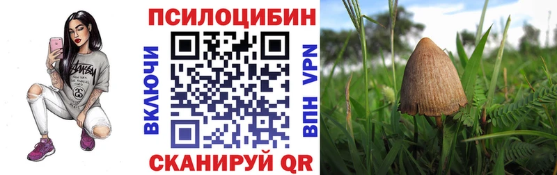 Галлюциногенные грибы Psilocybe  Купить  Лиски 